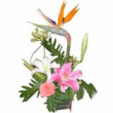 ʻٵ