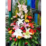 ʻٵ