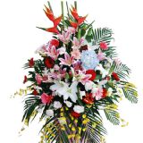 ʻٵ