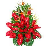 ʻٵ