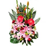 ʻٵ