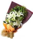 ʻٵ