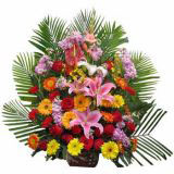 ʻٵ