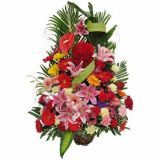 ʻٵ