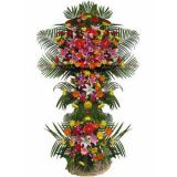 ʻٵ